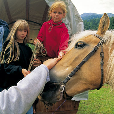 Reiten beim Enzianhof